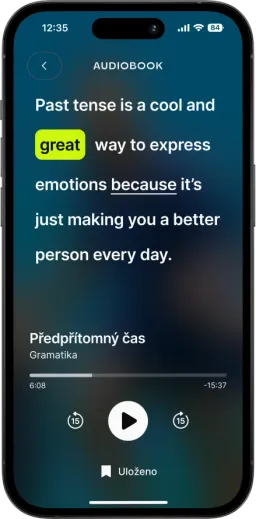 Podcasts & audiobooks — screen from the app